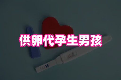 长春助孕网 2